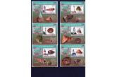 COMORES - 2009 - LES COQUILLAGES - SHELLS MARINA SEAWORLD - 6 DELUX   (ebay) w. 9 $ / s. 5 $ / collag