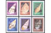 Guinea - 1998 Sea Shells/Marine/Nature/Molluscs/Animals/Wildlife 6v set   (ebay) s. 8 GBP / collag