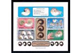 Palau - 1988 , Marine life Nautilus Sea shells MNH Sheet  (ebay) s. 3 $ /collag