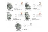 USA -  FDC 1985 Sea Shells 5 Covers Cacheted by Artcraft PCN Typed Addresses  (ebay) s. 8 $ / collag